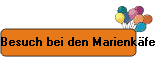 Besuch bei den Marienk�fern