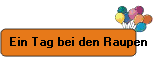 Ein Tag bei den Raupen