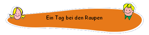 Ein Tag bei den Raupen